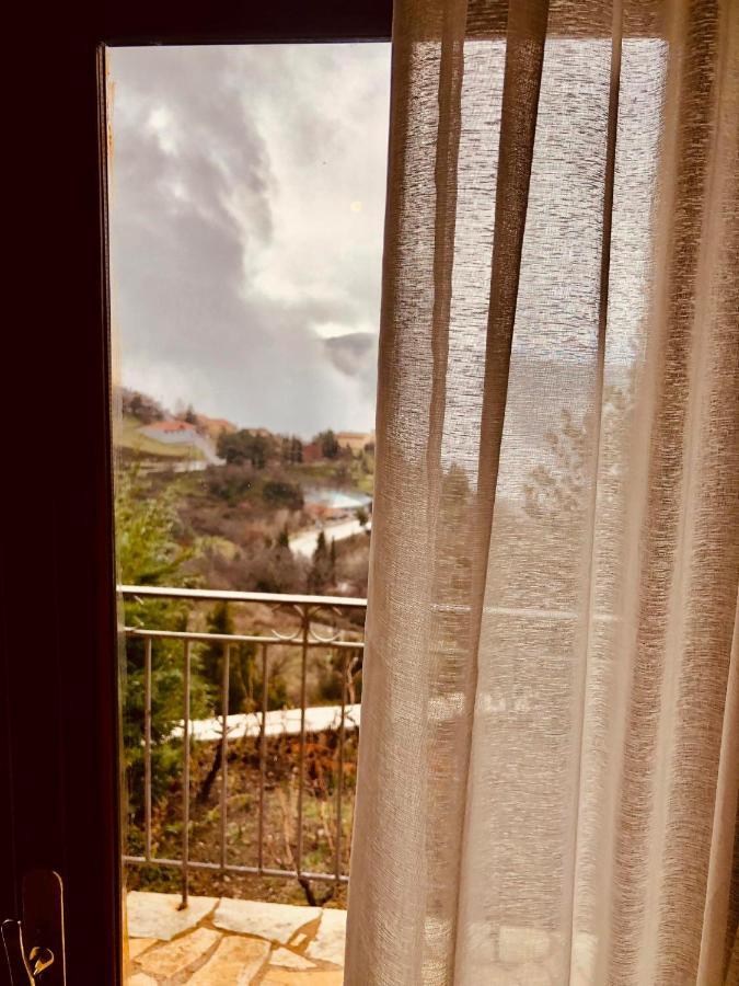 Alpen House Hotel&Suites Arachova Buitenkant foto