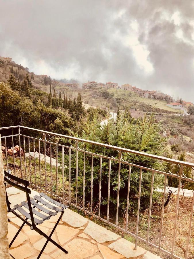 Alpen House Hotel&Suites Arachova Buitenkant foto
