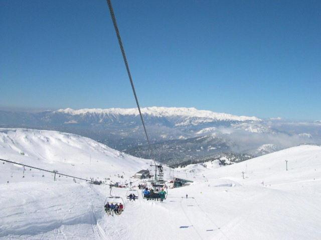 Alpen House Hotel&Suites Arachova Buitenkant foto