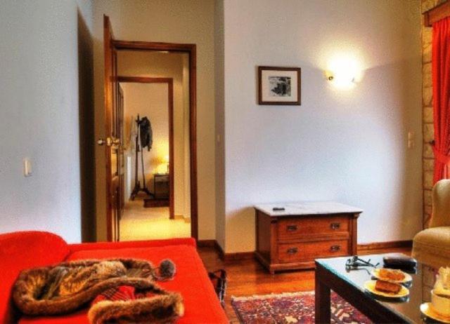 Alpen House Hotel&Suites Arachova Buitenkant foto
