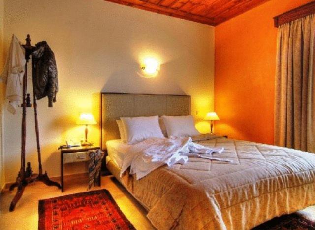 Alpen House Hotel&Suites Arachova Buitenkant foto
