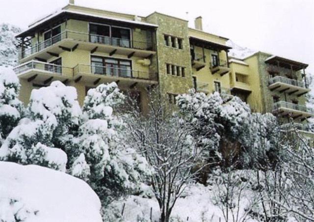 Alpen House Hotel&Suites Arachova Buitenkant foto